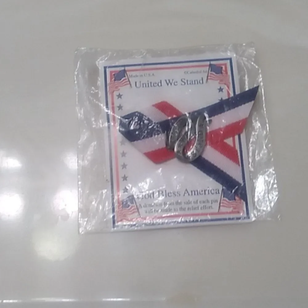 United We Stand Pin
